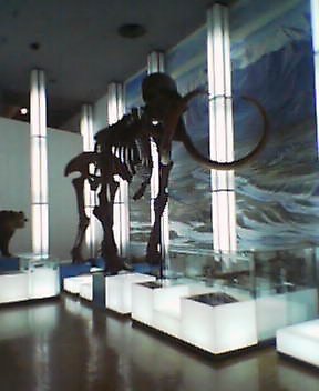 b0049549_21305350.jpg