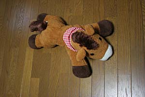 d0034352_20382935.jpg