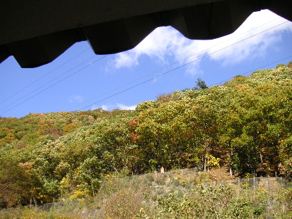 d0045159_13311047.jpg