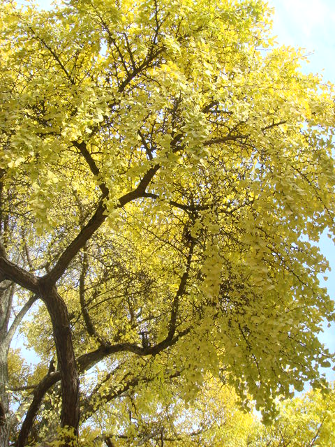 e0078564_348938.jpg