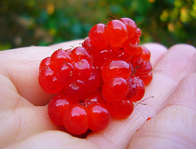 c0027965_22545527.jpg