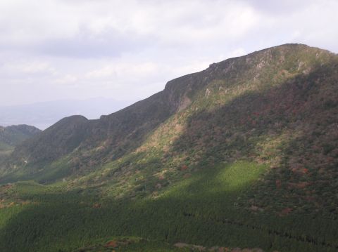 c0042869_2112429.jpg