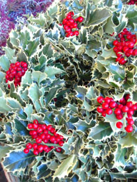 f0032969_2384099.jpg