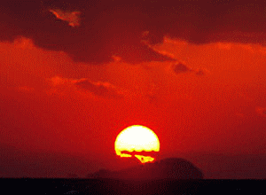 f0104569_23374297.gif