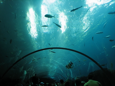 e0015270_11592286.jpg