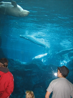 e0015270_12501890.jpg