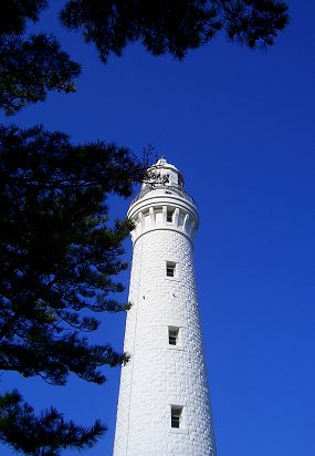 d0030373_19471788.jpg