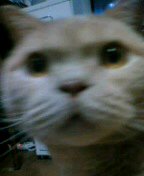 f0004180_10433580.jpg