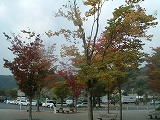 f0015381_22461979.jpg
