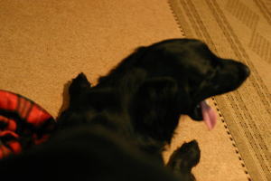 f0045283_18473874.jpg