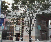 e0017290_11155598.jpg