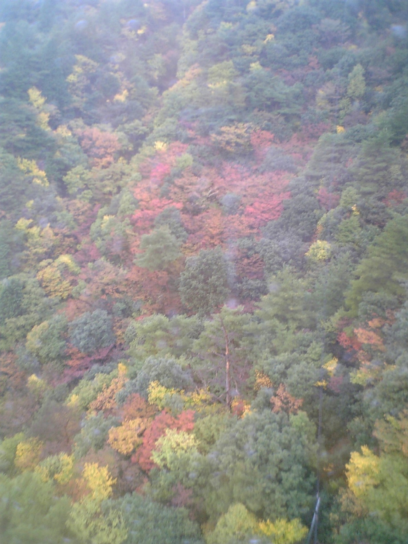 d0054692_11534457.jpg