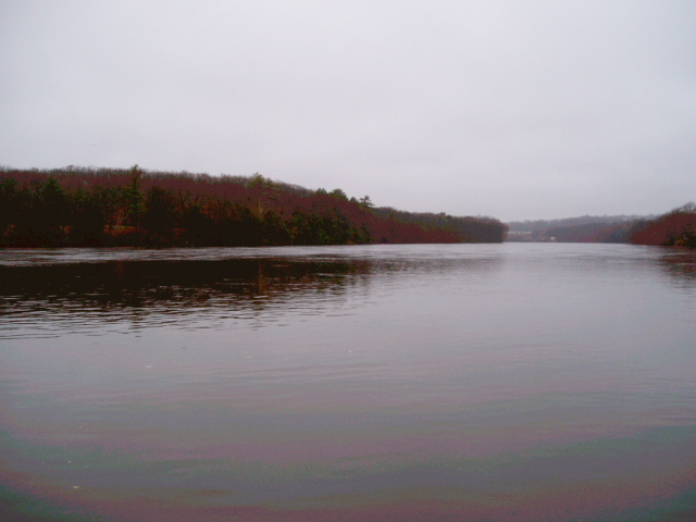 c0037103_1392428.jpg