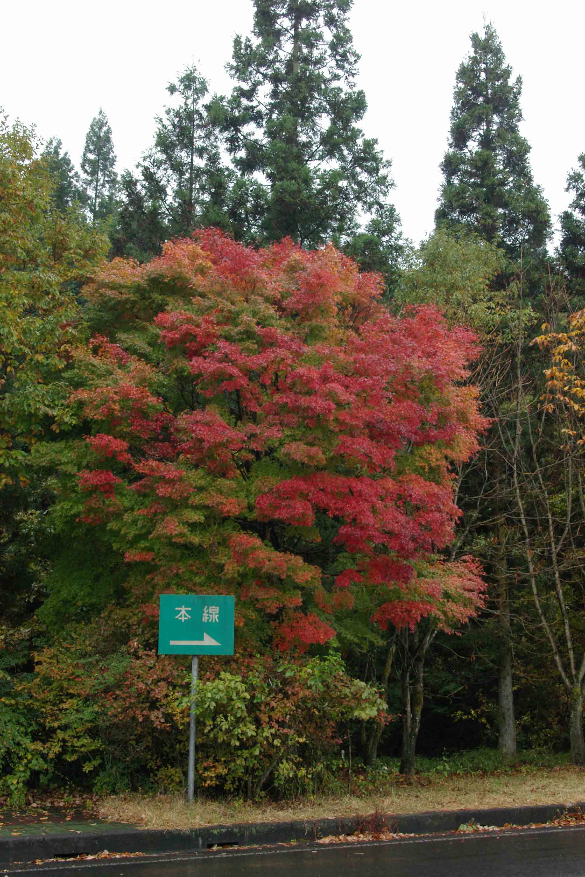 c0076709_8374645.jpg