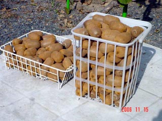 e0083820_1174661.jpg