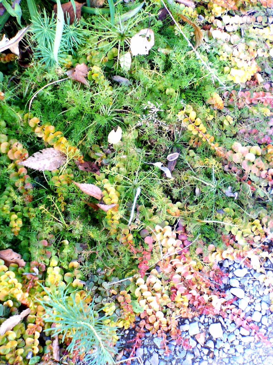 e0080524_22232778.jpg