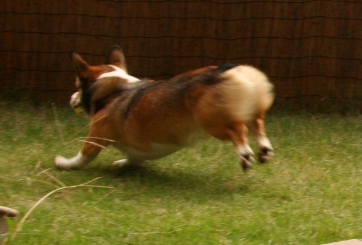 e0071225_2333234.jpg