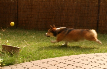 e0071225_2337443.jpg