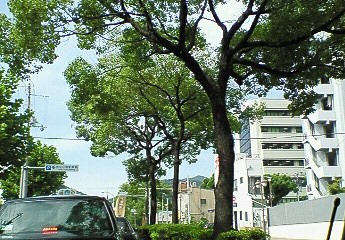 f0083126_1581510.jpg