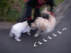 e0008833_1933019.jpg