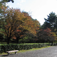 d0033734_11154679.jpg