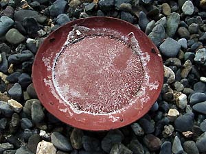 c0019338_814324.jpg