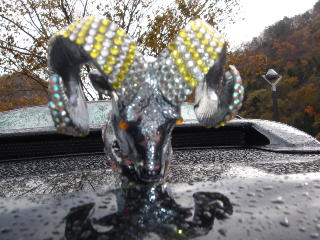e0023741_152079.jpg
