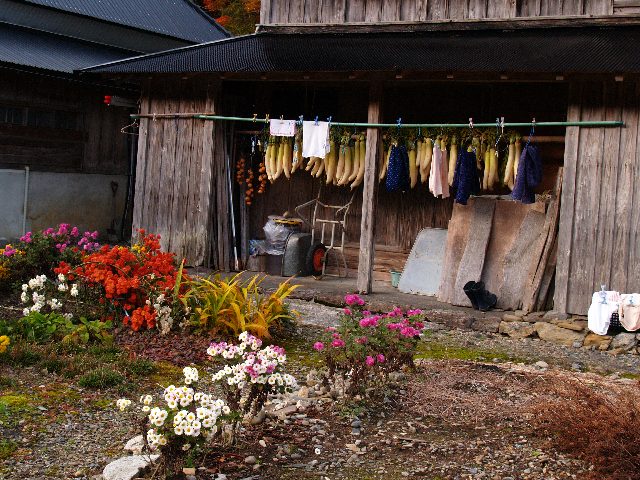 f0033856_1215548.jpg