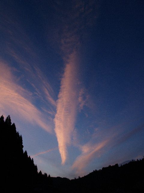 f0033856_1219172.jpg