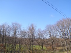 b0086858_064835.jpg