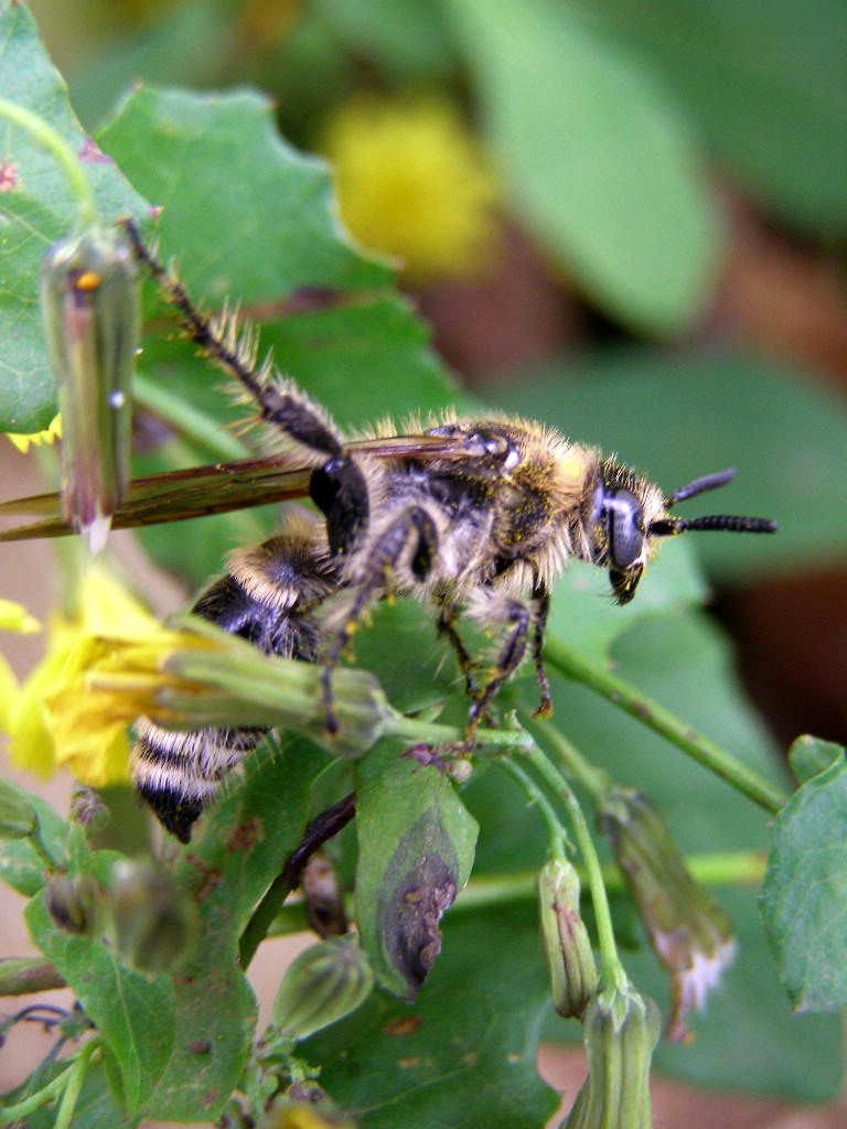 e0064158_02648100.jpg
