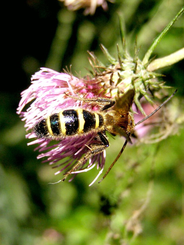 e0064158_0271869.jpg