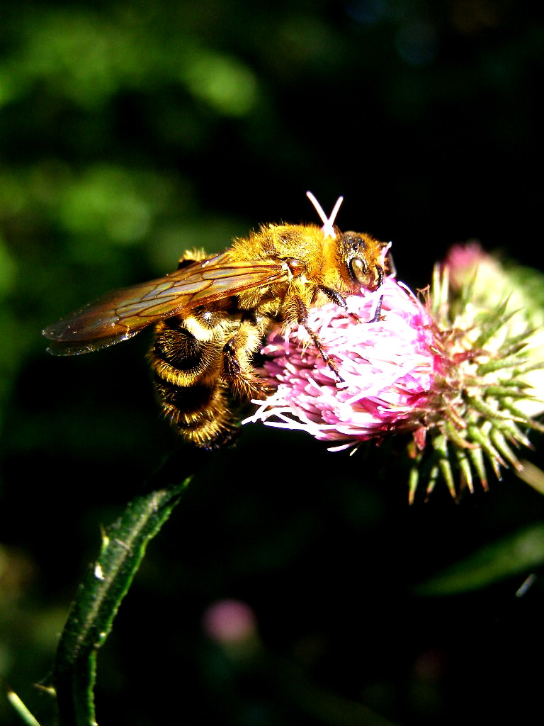e0064158_0273798.jpg