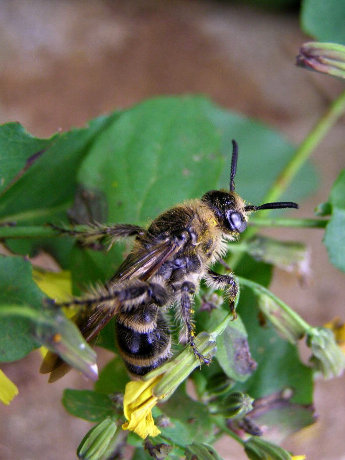 e0064158_027454.jpg