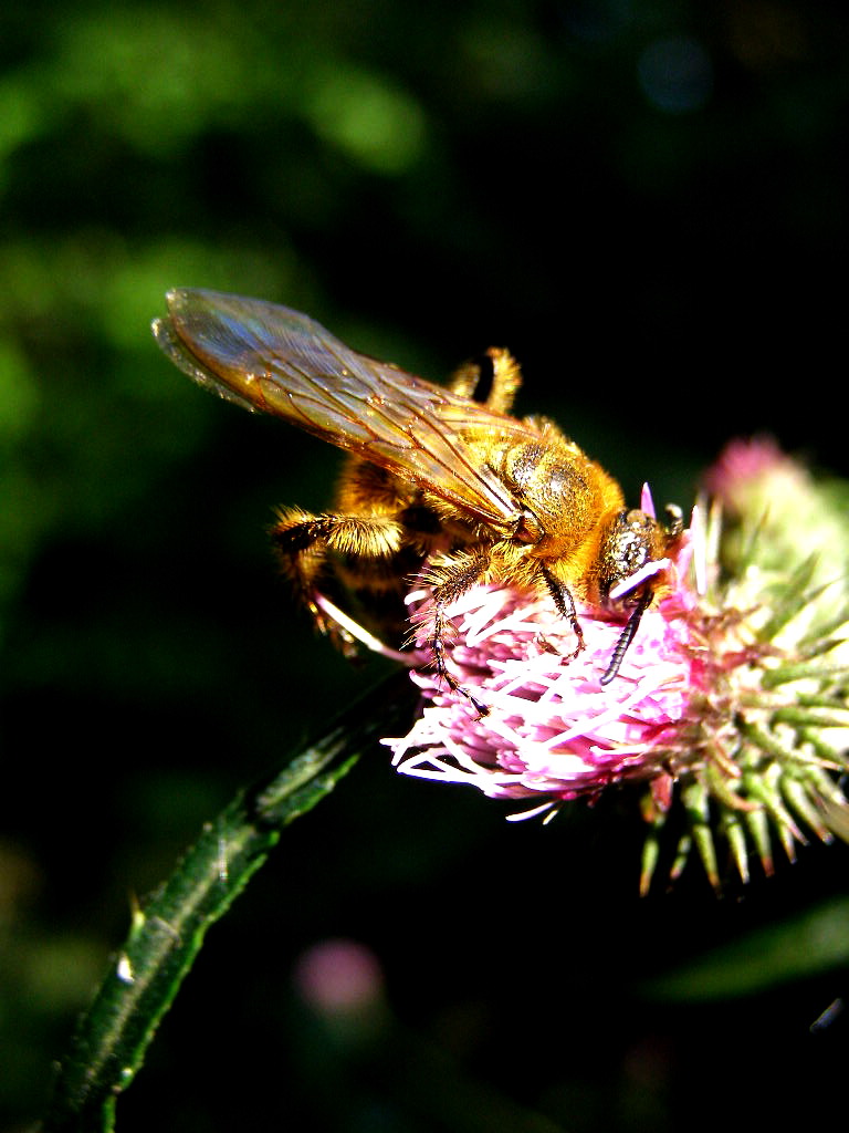 e0064158_0275398.jpg