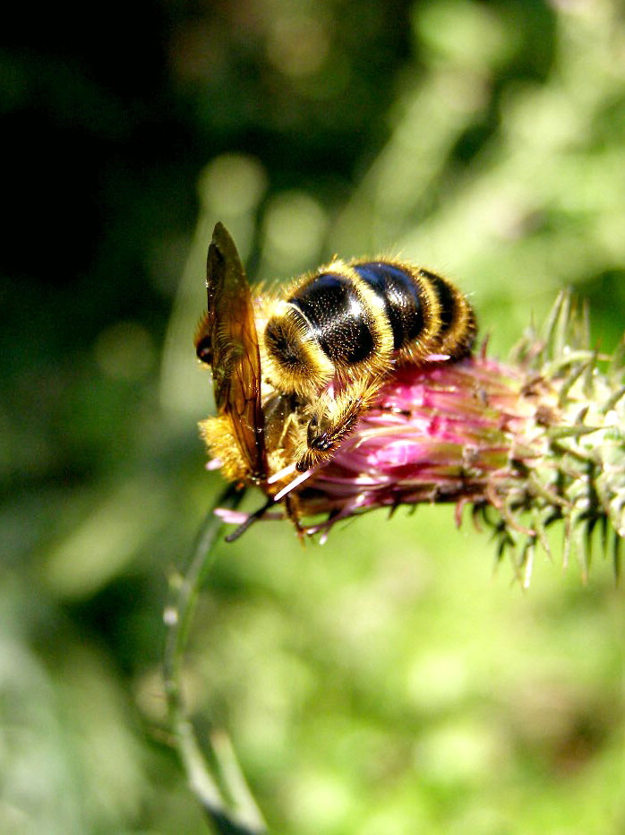 e0064158_0291180.jpg