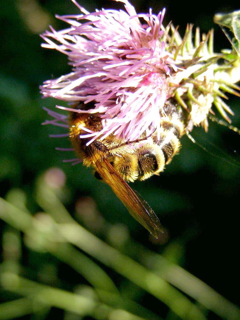 e0064158_029417.jpg