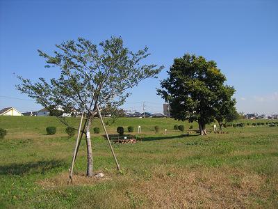 c0091679_12331714.jpg