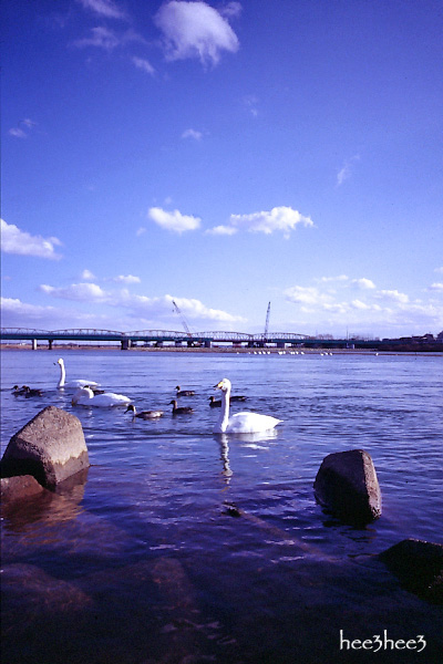 a0053783_23364222.jpg