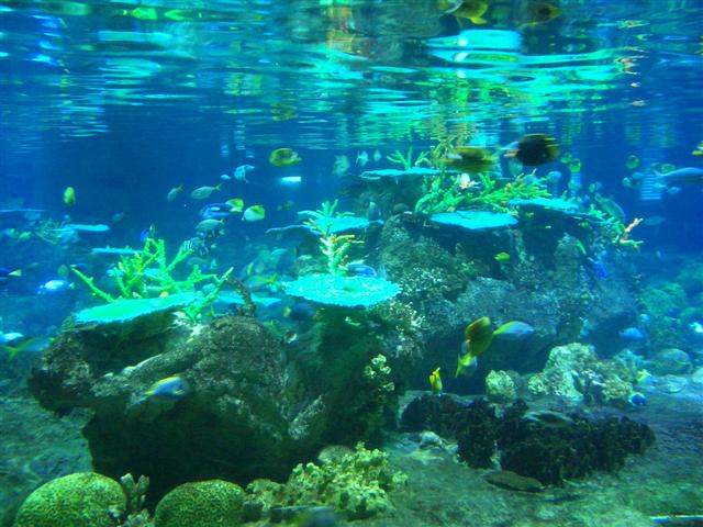 f0089386_1917498.jpg
