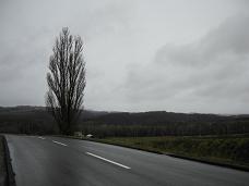 c0082888_20353549.jpg