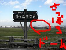 c0082888_2111518.jpg