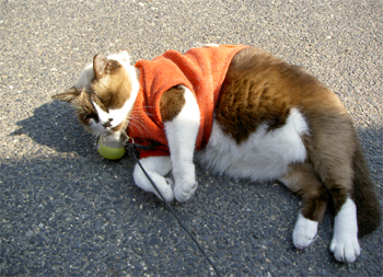 f0092389_12513475.jpg