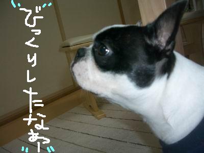 a0086698_23421783.jpg