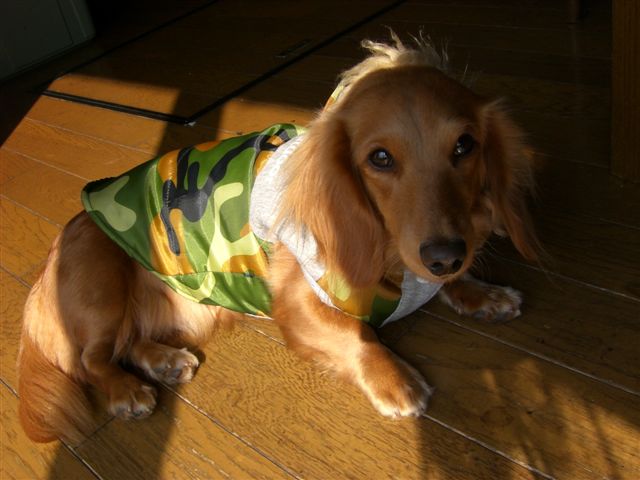 c0087001_21151450.jpg
