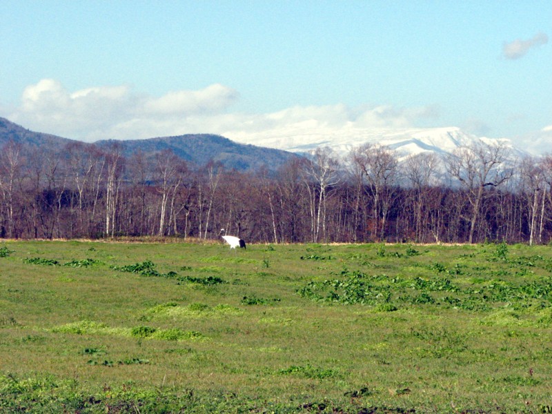 f0020302_1824493.jpg