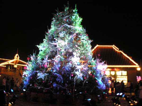 c0059521_2292531.jpg