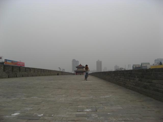 a0048423_15505360.jpg