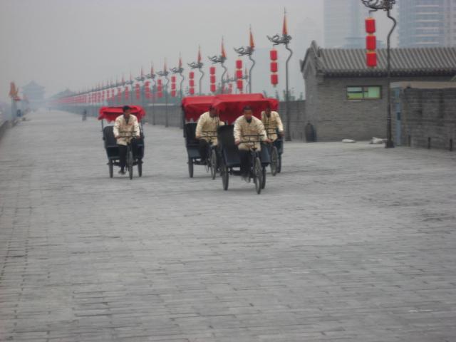 a0048423_1653526.jpg