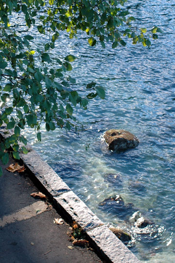 d0008146_18142671.jpg